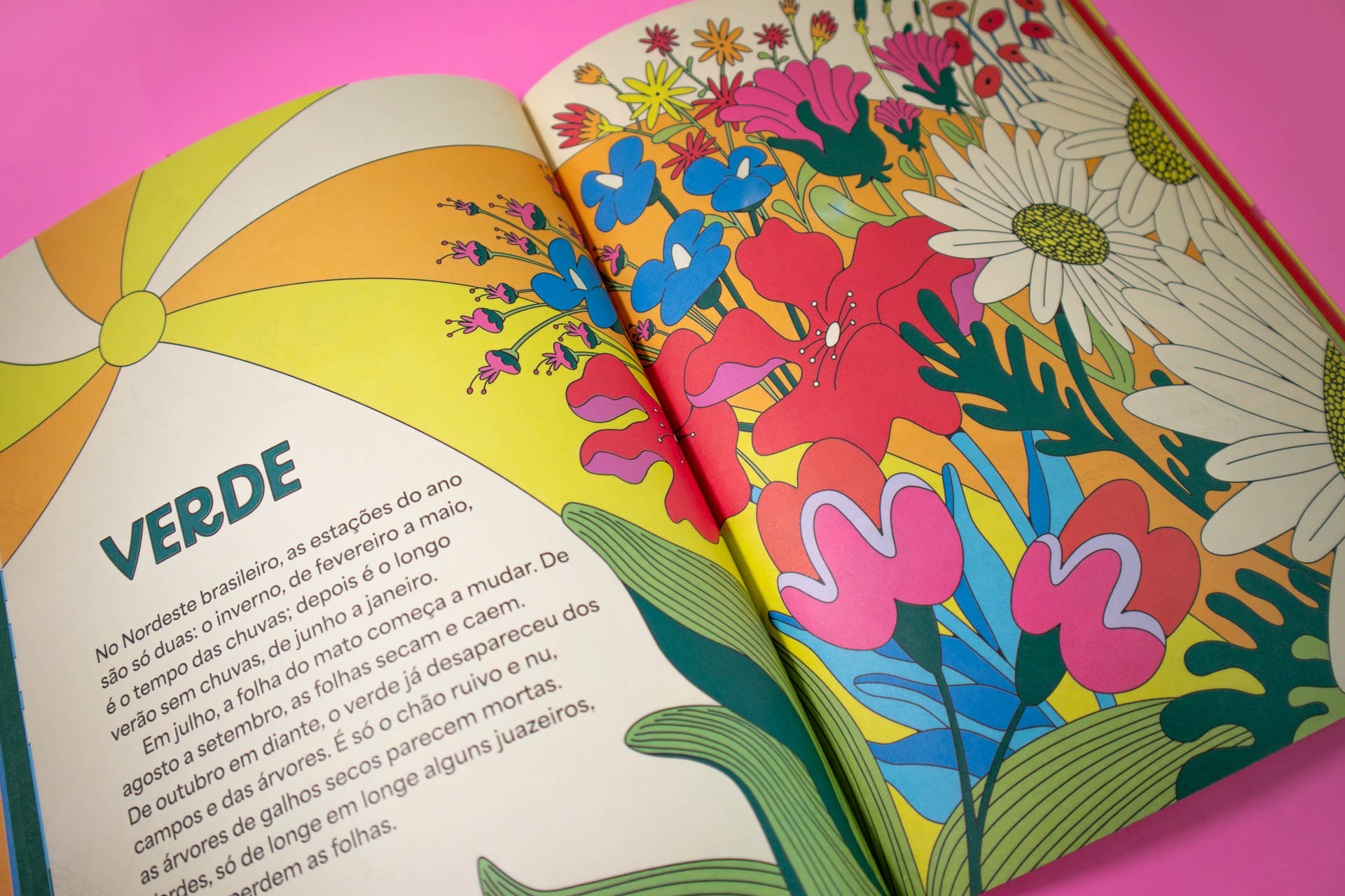 IMG_0121-Aprimorado-NR