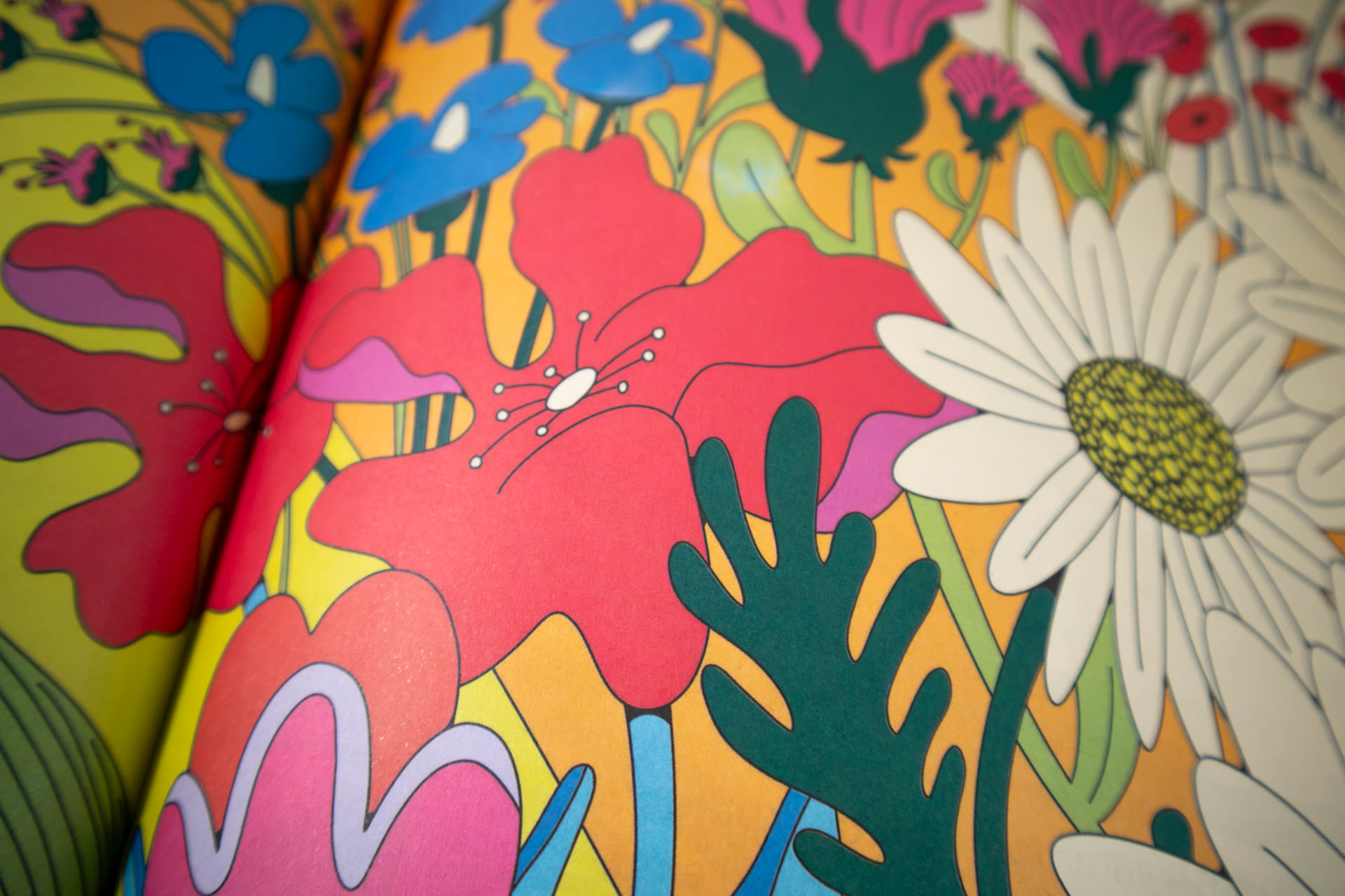 IMG_0125-Aprimorado-NR