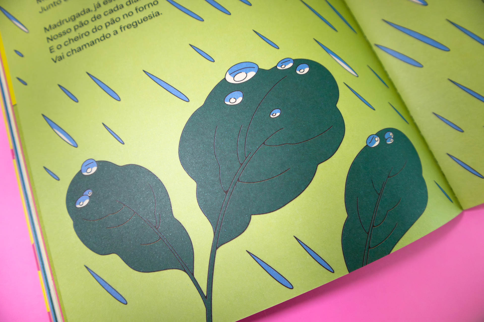 IMG_0220-Aprimorado-NR